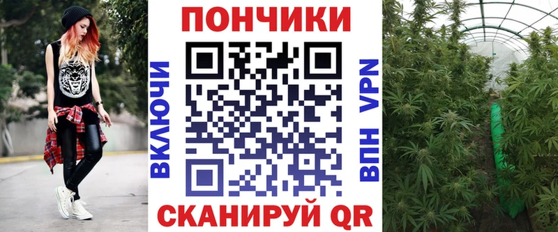 закладки  Микунь  Бошки Шишки MAZAR 